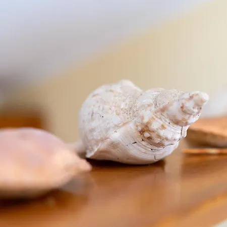 Sa Pedrera Putzu Idu