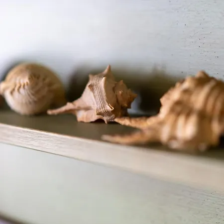 Sa Pedrera פוצו אידו