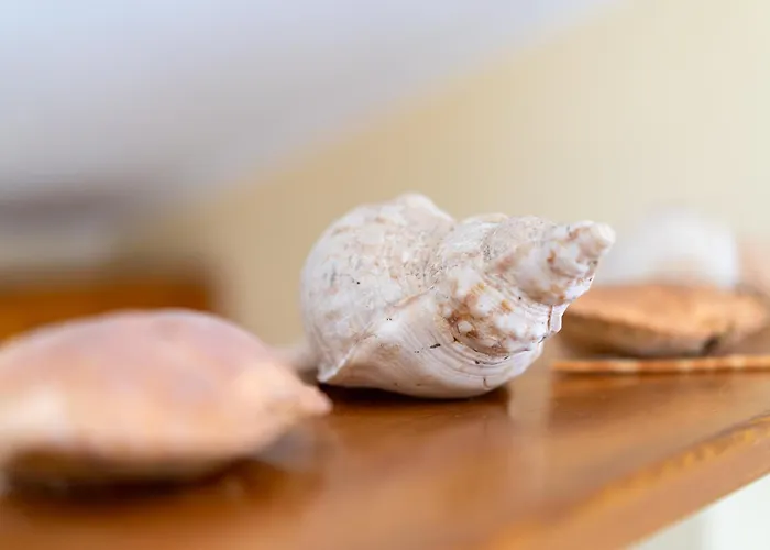 Sa Pedrera Путзу-Иду