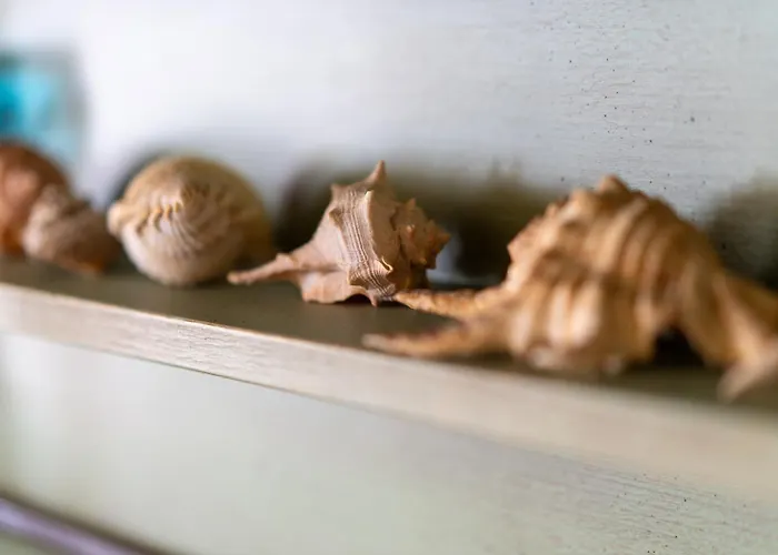 Sa Pedrera Путзу-Иду